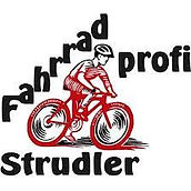 Partner 21