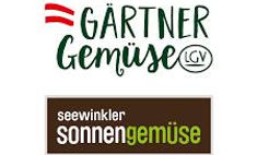 Partner 5