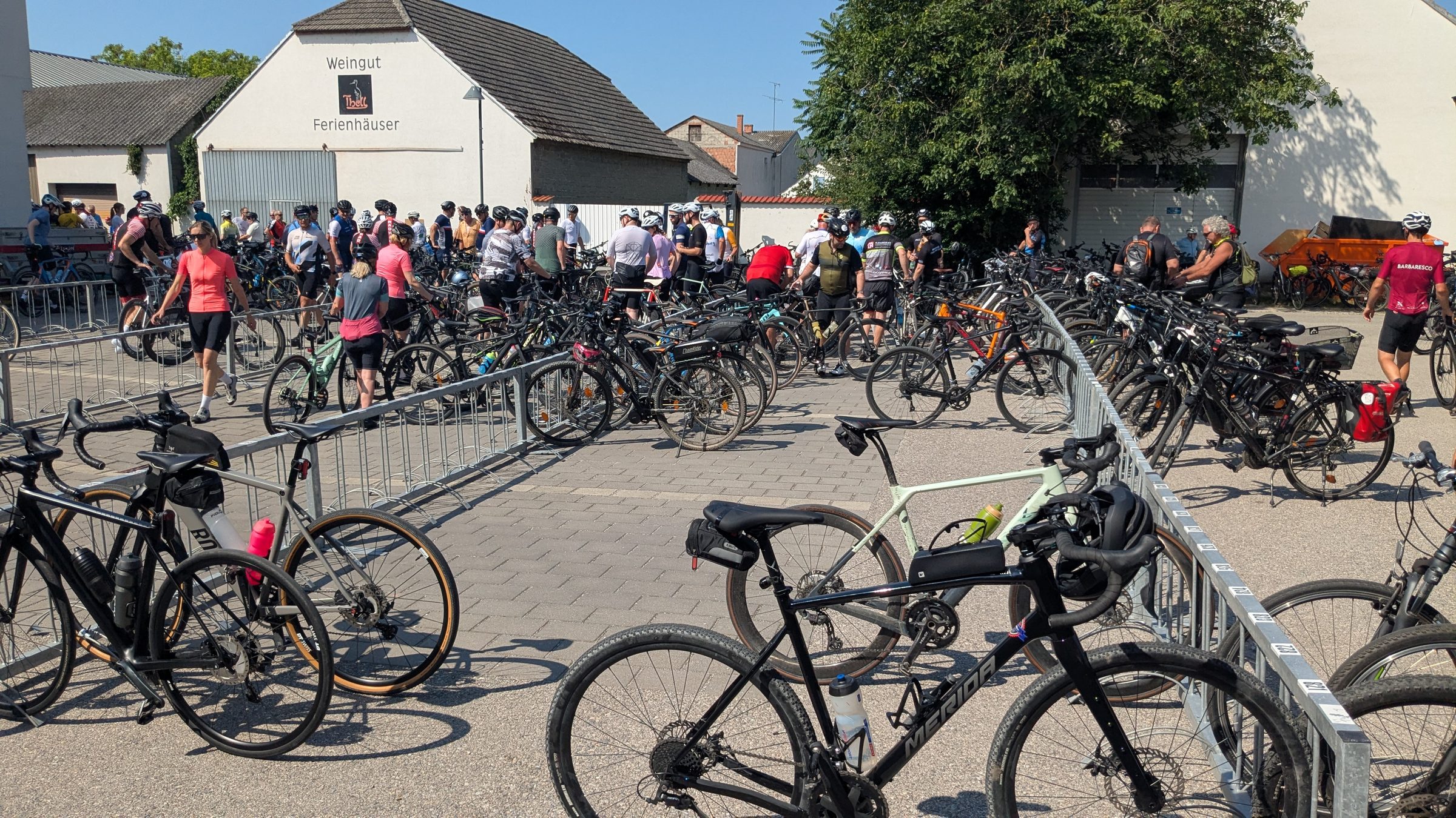 Tour de France des Seewinkels 2026 PXL 20260621 080243169